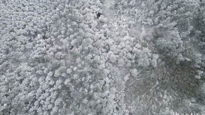 大气冬天森林雪景雾凇航拍