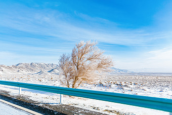 新疆冬天图片