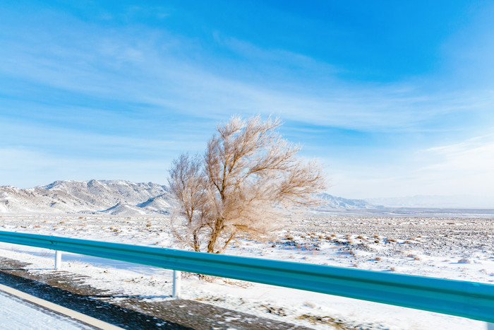 新疆冬天雪景孤独的树图片