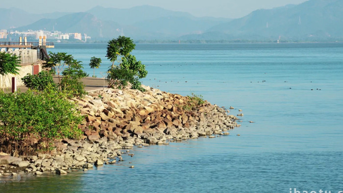 城市简约深圳湾公园沿海风景实拍