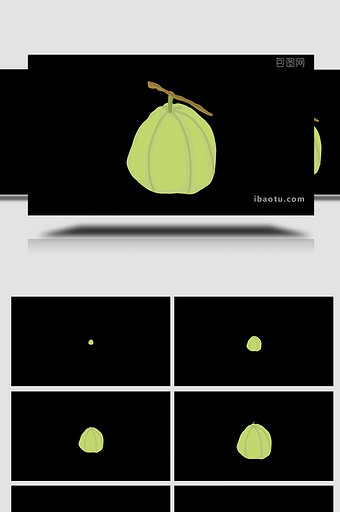 易用卡通类mg动画水果类番石榴图片