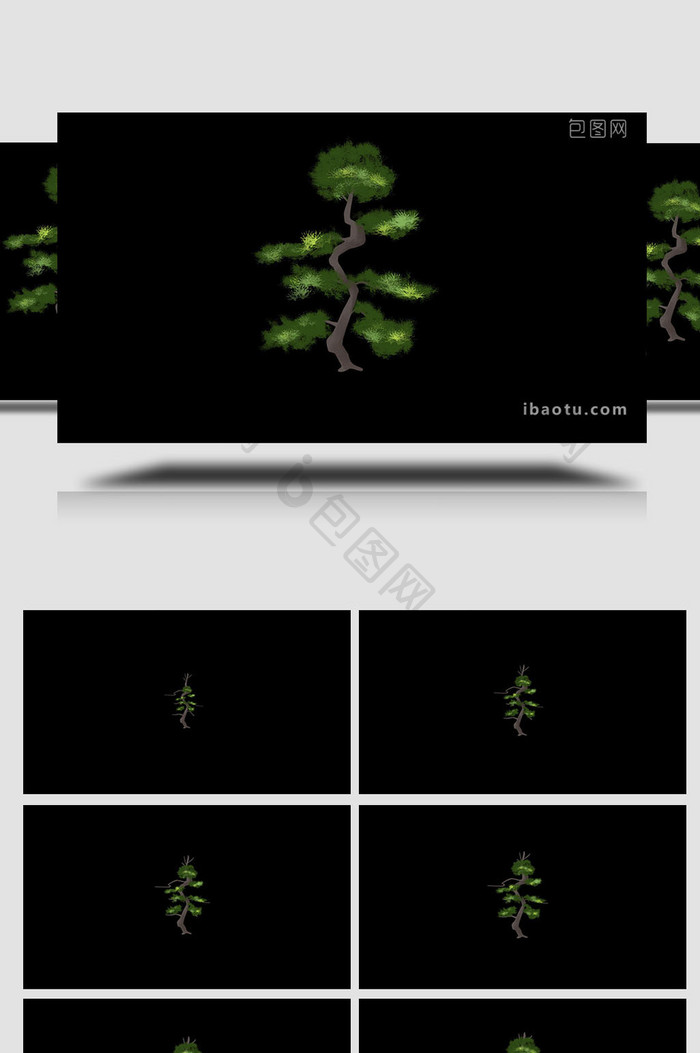 易用写实类mg动画植物类绿色罗汉松
