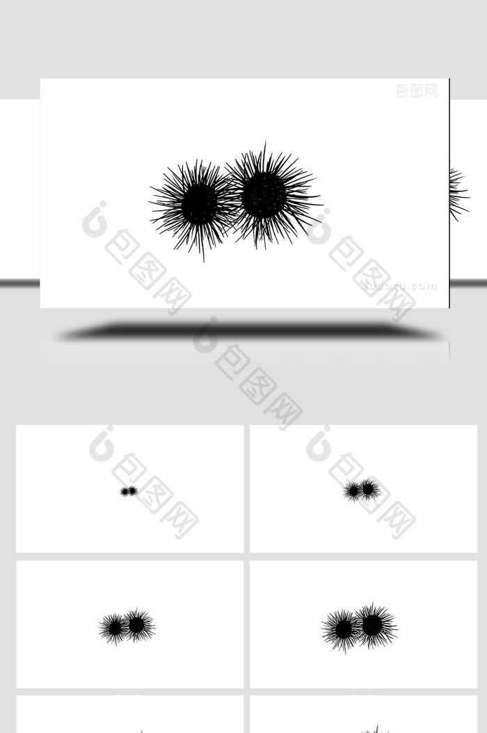 易用写实mg动画自然动物类海胆