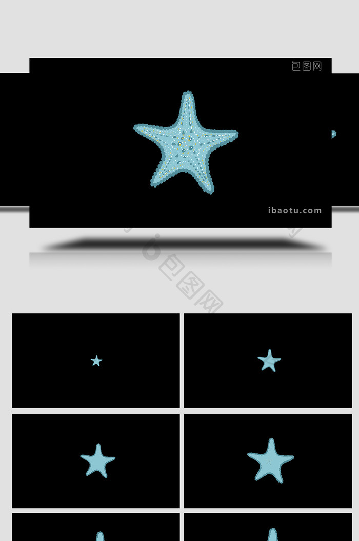 易用写实mg动画自然动物类海星