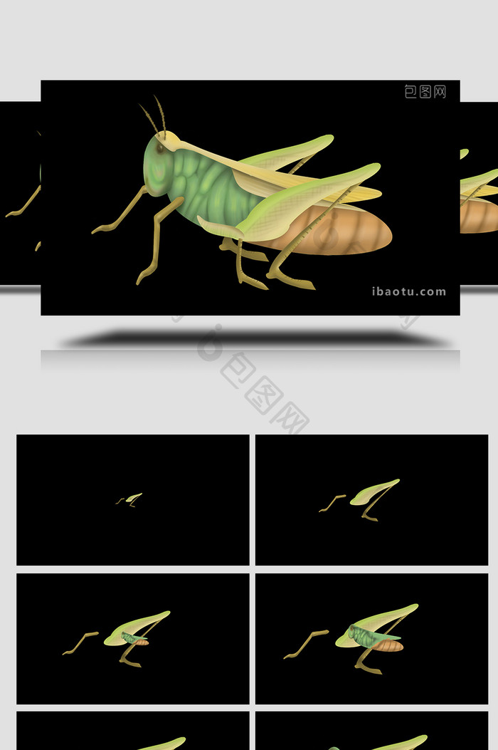易用写实mg动画自然动物类蝗虫