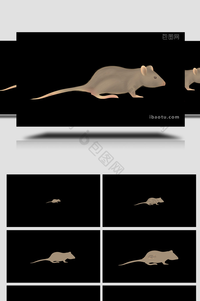 易用写实mg动画自然动物类老鼠