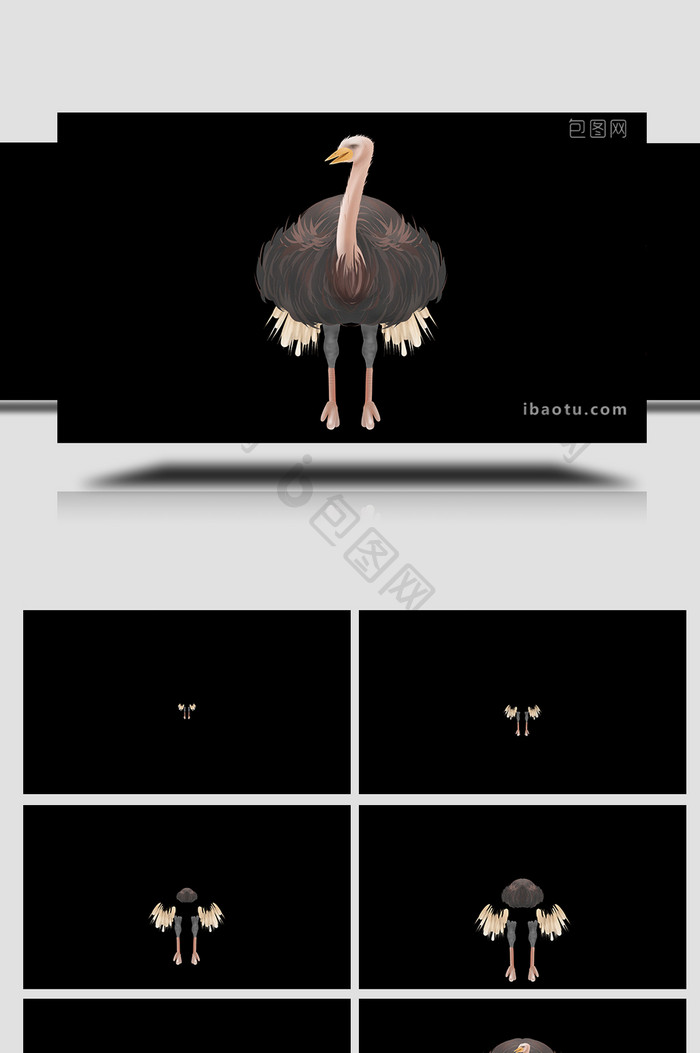 易用写实mg动画自然动物类鸵鸟