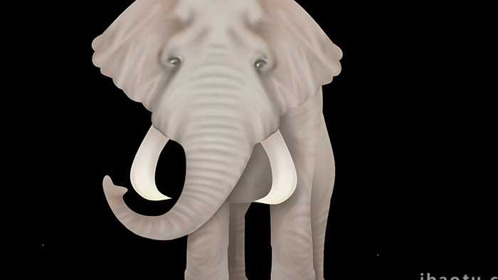 易用写实mg动画自然动物类大象