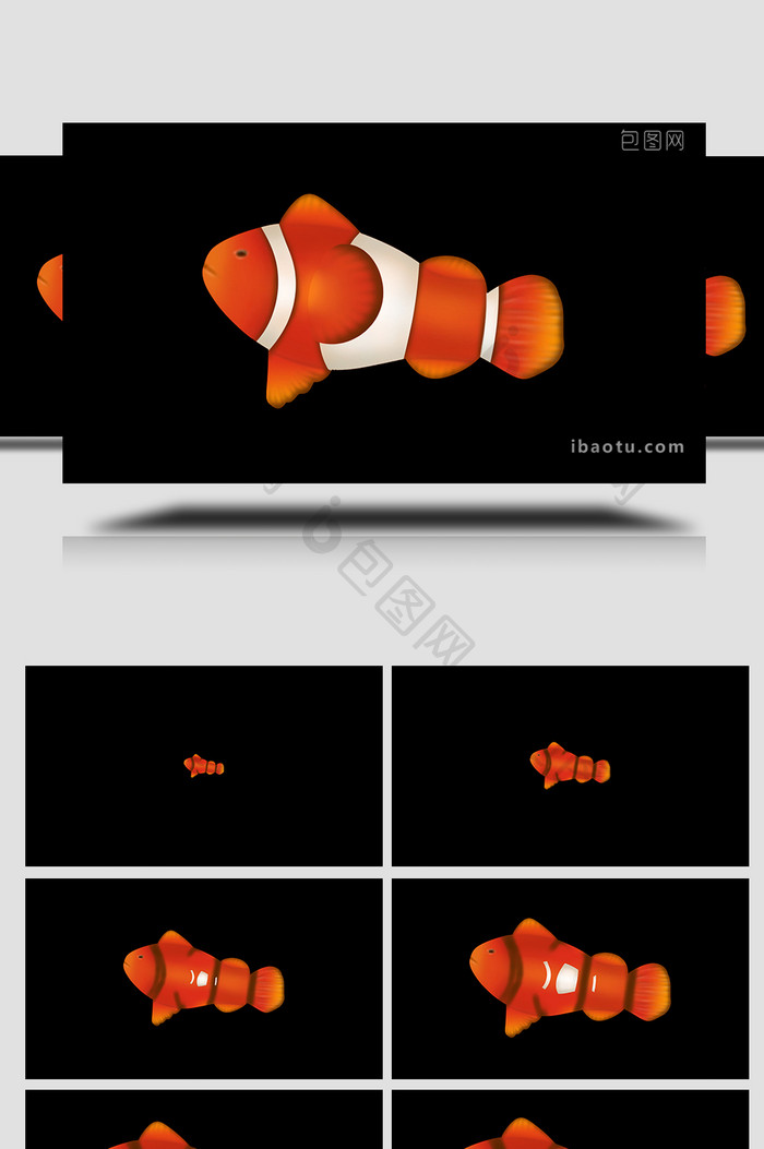 易用写实mg动画自然动物类小丑鱼