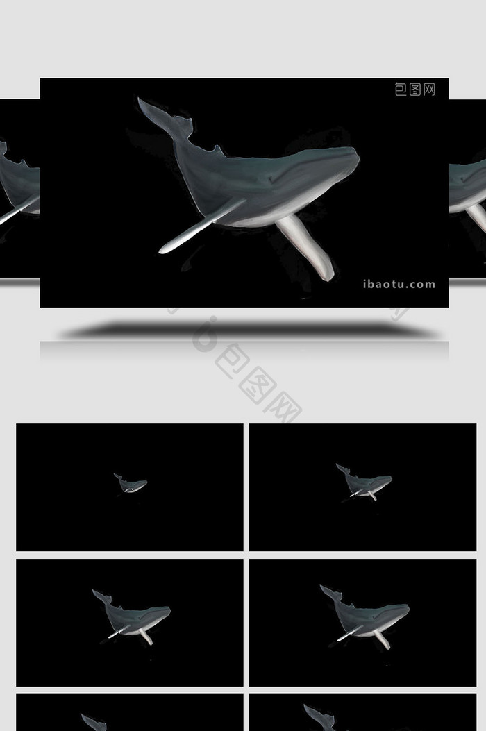 易用写实自然动物类mg动画鲸鱼