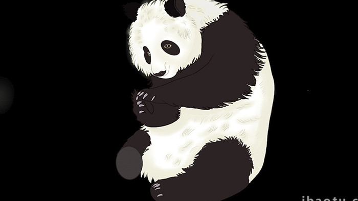 易用写实类mg动画自然动物类熊猫
