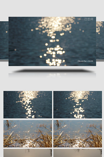 自然水面波光粼粼阳光倒影唯美意境4K素材图片