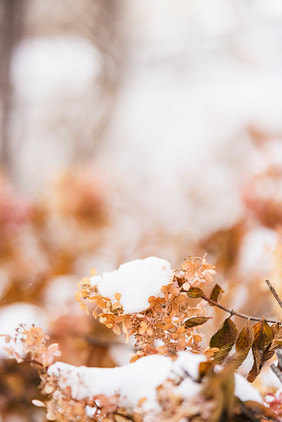 冬季唯美雪景白色积雪