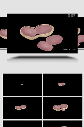 易用写实类mg动画食物坚果类红色的花生图片