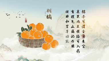 中国传统秋季水果食疗养生宣传水墨AE模板