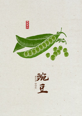 中国风豌豆 手绘豌豆 豌豆元素 豌豆插画