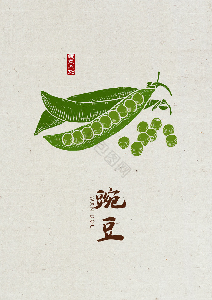 豌豆豌豆豌豆豌豆插画图片