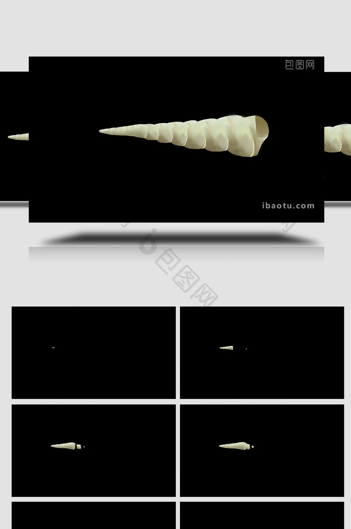 易用mg动画写实类海洋生物类棒锥螺