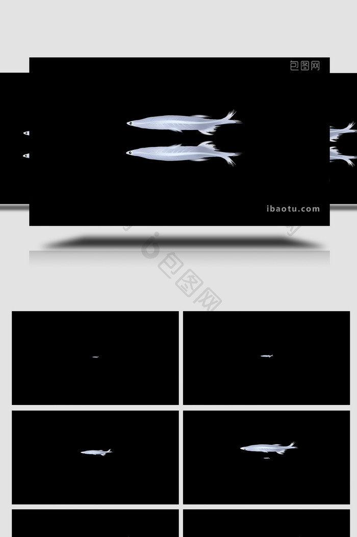 易用mg动画写实类海洋生物类银鱼