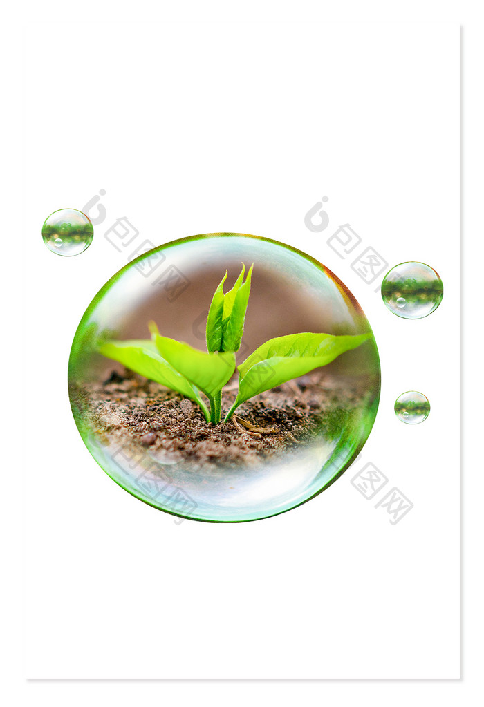 环保元素合成概念小树苗发芽绿色植物气泡