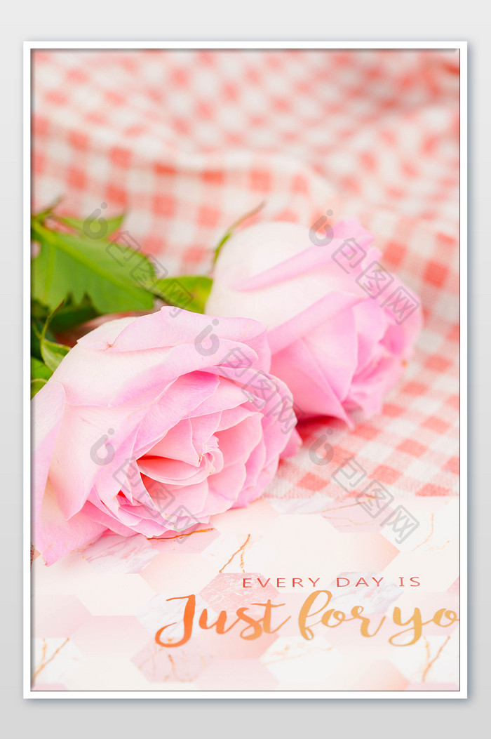 情人节粉色玫瑰花鲜花花朵花卉
