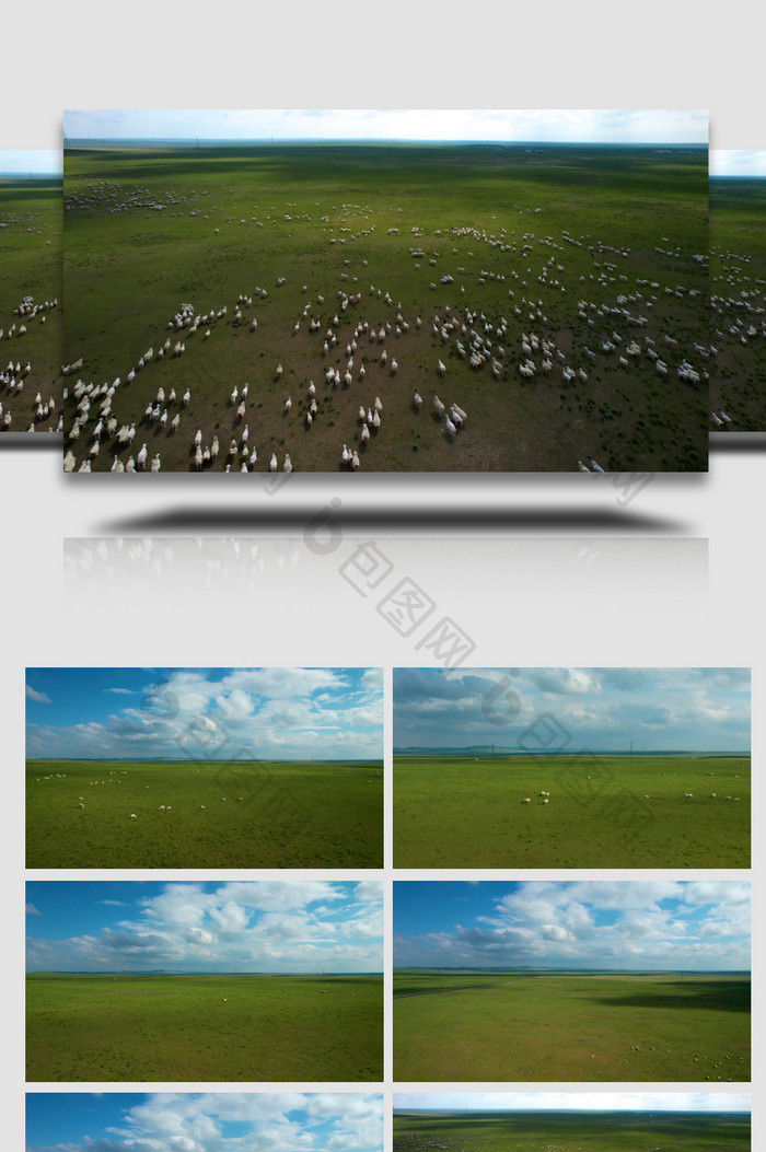 辽阔草原上散落的大片的羊群4k航拍视频