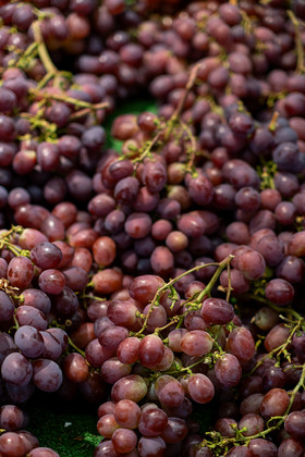 葡萄水果新鲜营养