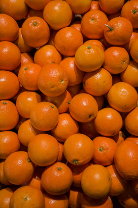 橙子新鲜营养水果