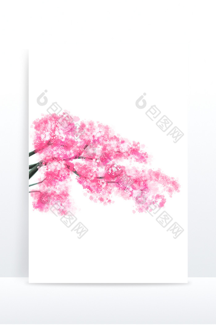 立春雨水植物樱花插画图片图片