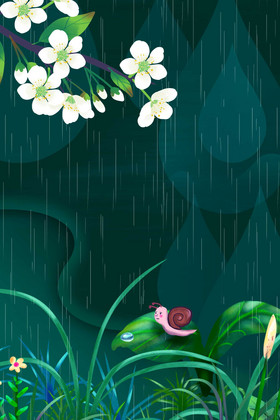 梨花植物雨水节气