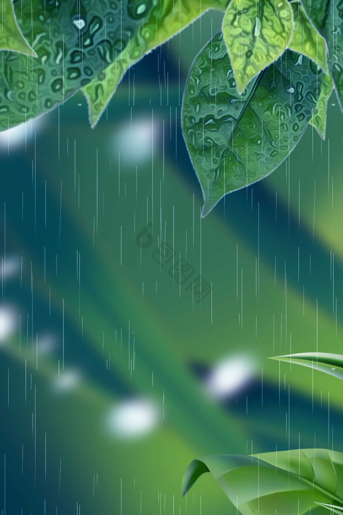 植物雨水节气春天图片