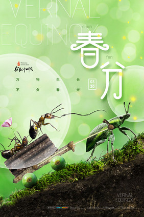 简约春分春分昆虫情趣海报