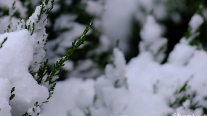 冬季冬天下雪飘雪白雪雪花飘落特写唯美实拍