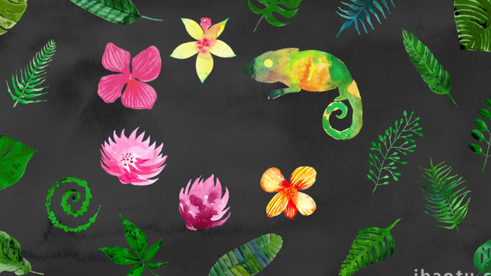 叶子朵花热带夏季水彩画背景视频AE模板