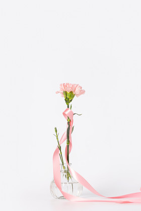 母亲节一支康乃馨