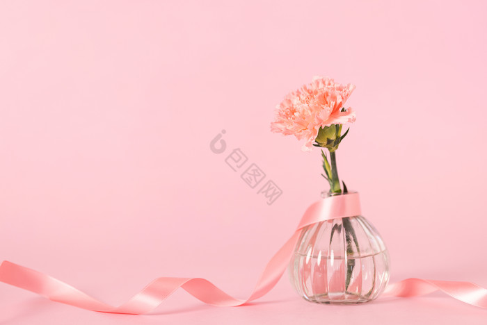 母亲节一支粉色康乃馨粉色背景图片
