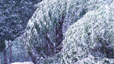 自然风光山林雪景实拍