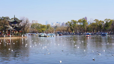 简约城市公园春天风景湖面游船春游实拍