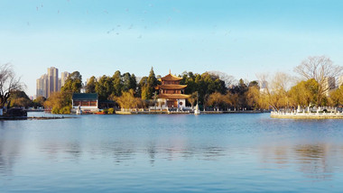 唯美城市公园湖水树木风景实拍