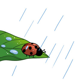 春天雨水瓢虫动图GIF