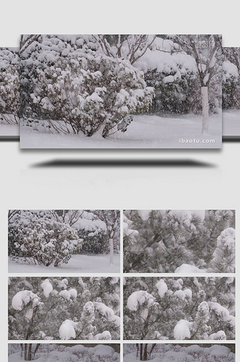 冬季风雪冬天下雪雪花飘落自然写意实拍图片