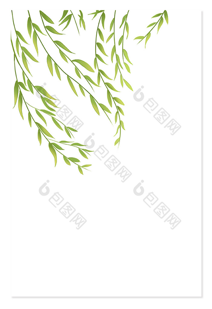 中国风植物柳树柳叶元素插画