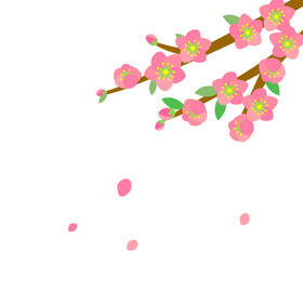 春天春季唯美桃花盛开花瓣飘落动图gif