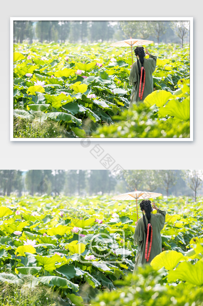 穿古装的姑娘赏荷花图片图片