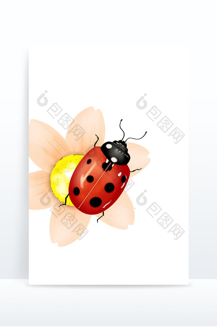 春天动物植物昆虫甲壳虫装饰图片图片