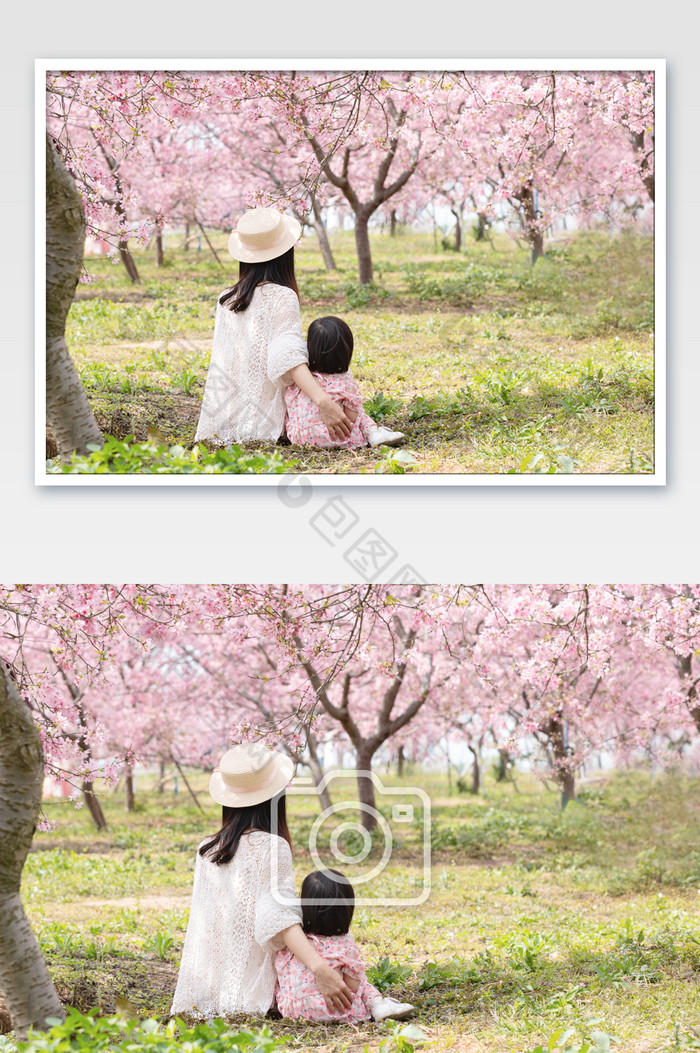 樱花树下母亲与孩子图片图片