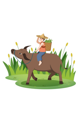 夏至小满放牛插画图片