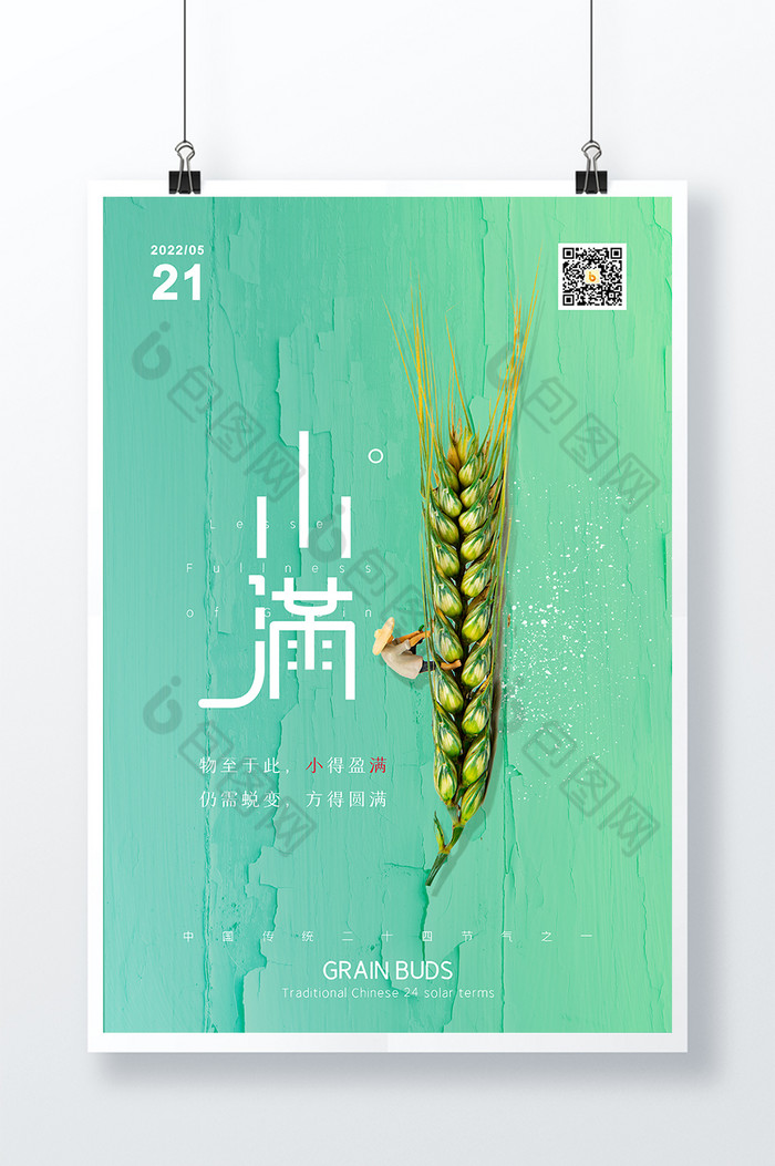 夏天麦子小麦24节气小满图片图片