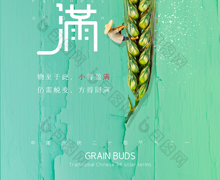 绿色清新夏天麦子小麦传统24节气小满海报