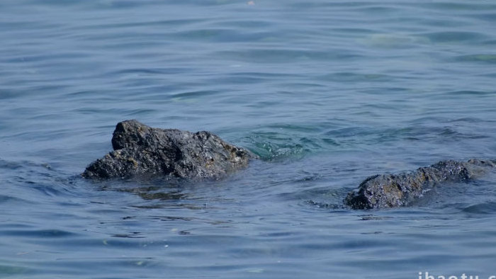 海水礁石浪花波浪大海海洋自然海洋实拍